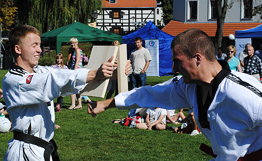 Show Team Taekwondo MUKS Piętnastka 2013