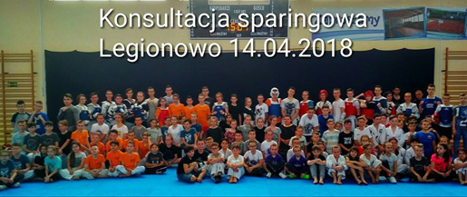 Konsultacja Taekwondo w Legionowie