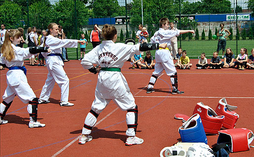 Pokaz Taekwondo Sp 37