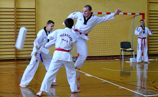 Pokaz Taekwondo w ZS Nr 5