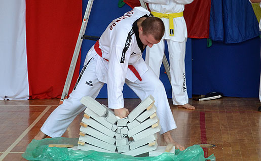 Pokaz Taekwondo w Białych Błotach